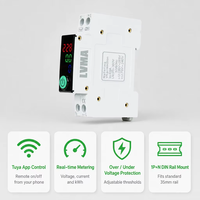 Compteur d'énergie intelligent WiFi en plastique, disjoncteur miniature (MCB) 1P+N 63A sur rail DIN, affichage numérique Tuya kWh