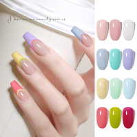AMO Vernis à ongles en gel 15ml 15g 2025 Trendy Passion Candy Macaron Colors 12 DIY Colors in Bottle