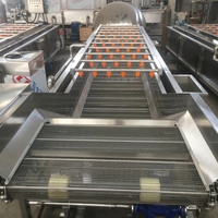 Automatische Werk Knoflook En Mango Fruit Mini Appel Zeewier Blad Transportband Groente Wasmachine Bubble Wash Machine