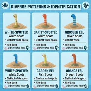 Ornements de bassin en PVC durables, thème Plage d'été et Monde <span class=keywords><strong>marin</strong></span>, Coquillages et Coraux, pour la décoration intérieure et extérieure, paysage miniature - Product Image 4