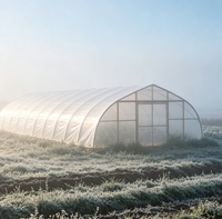 Serre de taille standard commerciale 30 pi x 100 pi pour l'agriculture