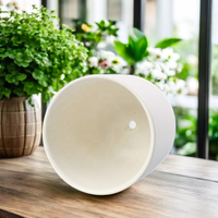Pot Tanaman Keramik Putih Matte Modern untuk Dekorasi Taman, Pot Tanaman Sukulen dan Kaktus Mini, Dekorasi Rumah, Pot Bunga