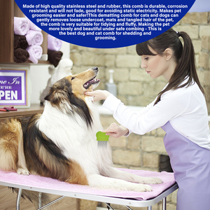 Peigne à poux en acier inoxydable pour chien et chat - Product Image 4