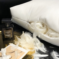 Oreiller 100% duvet d'oie hongroise, qualité hôtelière, doux et offrant un soutien optimal, coussin de lit avec housse en coton 600 fils.
