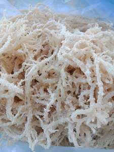Wholesale <b>Dried</b> Eucheuma Cottonii Seaweed/ Sea <b>Moss</b> From Vietnam / Ms. Lima - Product Image 2