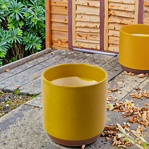 Nouvel arrivage de pots de fleurs d'intérieur en céramique jaune <span class=keywords><strong>moutarde</strong></span> pour décor de salon et de bureau - Product Image 2