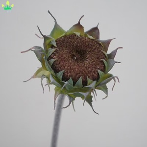 Tige unique de fleur artificielle de tournesol pour la décoration de la maison, des mariages, des tables, des vases et des fêtes du Nouvel An chinois - Product Image 5