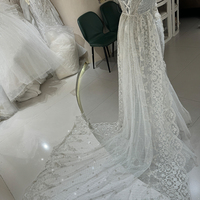 Robe de mariée sirène de luxe DW0021, nouvelle conception, dentelle illusion, épaules dénudées, broderie luxueuse, sequins et perles.
