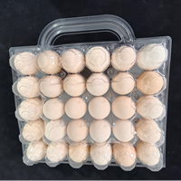 Plateau à œufs rigide en PET à 30 alvéoles, facile à transporter, en plastique transparent, pour œufs frais de ferme, boîte cadeau et présentoir de vente au détail