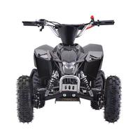 Mini Quad 49cc, Buggy de Plage, Petit Véhicule Tout-Terrain à Quatre Roues, Modèle 008 Chine, pour la Conduite Hors Route et sur la Plage
