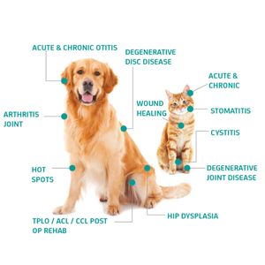 <span class=keywords><strong>CW</strong></span>/Pulsierend/ISP Klasse 4 Lasertherapiegerät 30W Veterinär-Lasertherapiegerät - Product Image 4