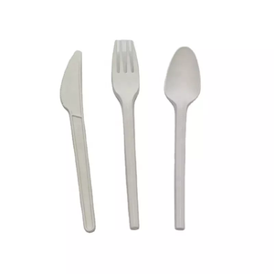 Muỗng Có Thể Phân Hủy 6 Inch Một Lần Muỗng PLA Có Thể Phân Hủy Tùy Chỉnh Muỗng Tráng Miệng Dùng Một Lần Thân Thiện Với Môi Trường - Product Image 3