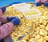 Fabrieksdirect Premium Gedroogde Gele Perzikchips Natuurlijk Fruit voor Wereldwijde Gezondheidssnack Supermarkt Distributeur Verpakking