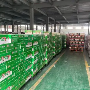 Auto Case Packer Carton Side Load Case Packer Complete Carton Erector System Pick Up And Place Bottle Carton Packer