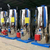 Générateur de vapeur entièrement automatique de 100 kg, 200 kg, 300 kg, 500 kg, 700 kg, au gaz ou au mazout, pour l'industrie du lavage