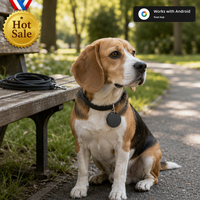 Mini traceur GPS pour animaux de compagnie, porte-clés, fonctionne avec Android/iOS, autonomie de 1 an, dispositif de positionnement global