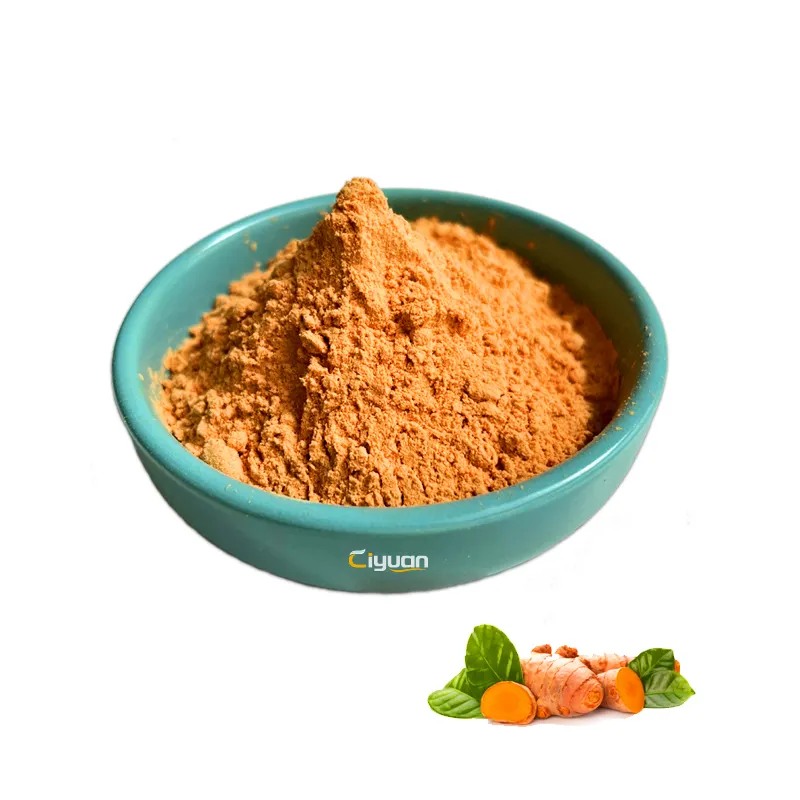 Ciyuan Nhà cung cấp nhà máy tinh khiết nghệ Curcuma longa chiết xuất Curcumin bột nghệ chiết xuất với bioperine 95% Curcumin