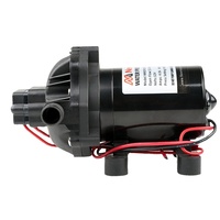 Newmao 51 Series 19L 12v24v DC 5 Ruang Pompa Diafragma Otomatis Digunakan untuk Menyiram Irigasi Pertanian Kebun