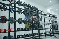 Haltères plaqués or pour la salle de sport, équipement de fitness, haltères dorés, équipement de fitness, ensembles d'haltères
