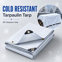 Bâche en toile Ripstop imperméable et résistante au froid, adaptée aux climats froids, protection anti-UV pour mobilier de jardin, abri contre la pluie