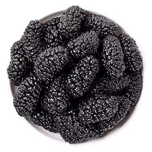 <span class=keywords><strong>Thé</strong></span> aux fruits de mûre en gros, sans additifs, fruits de mûre noirs séchés naturels de haute qualité - Product Image 1