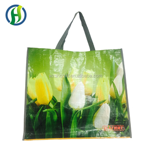 ถุงผ้า PP เคลือบลามิเนตแบบกำหนดเองสำหรับโฆษณาผลไม้ ถุงพิมพ์ลายตามสั่ง - Product Image 5