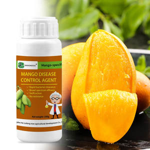Engrais spécialisé pour la désinfection des manguiers, engrais organique soluble dans l'eau, engrais pour manguiers - Product Image 1