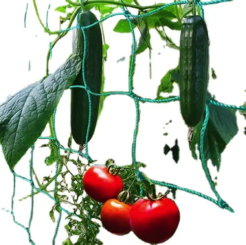 Bahçe naylon örgü bitki destek kafes netleştirme bitki çiçek meyve sebze domates bitkiler için tırmanma ağı