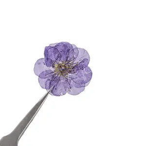 थोक उच्च गुणवत्ता वाले छोटे सूखे फूल सकुरा खिलने वाले असली सूखे फूल 12 pcs/बैग डिय सामान