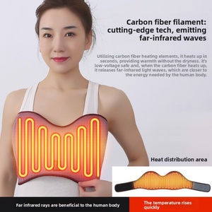 Postpartum BreastMassage Device Far-Infrared Heating Chest Warm Compress Moxibustion Breast Nodules Lactation-Promoting <b>Tool</b> - Product Image 2