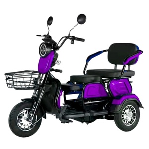 Pour la livraison Trike électrique à 3 roues Type pour femmes Utilisation urbaine E-bike Pedicab électrique Tricycle électrique pour deux personnes - Product Image 6