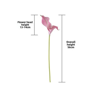 Flor Artificial Decorativa Inspirada en Eva Calla Lily de Rainbow Sketch Artist para el Hogar, Venta al por Mayor Transfronteriza para el Día de San Valentín - Product Image 4
