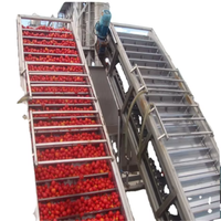 Ligne de production de confiture et de pulpe de pomme concentrée, machine de fabrication de jus et de purée pour usine de transformation