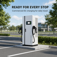Chargeur rapide DC pour véhicules électriques 180 kW CCS2 à double pistolet, sur pied, avec lecteur de carte et système de paiement, pour stationnement commercial