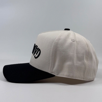Casquettes de baseball brodées 3D en relief de haute qualité OEM, casquette de sport personnalisée à deux tons inversés, casquette trucker pour hommes, casquette snapback à visière incurvée pour l'extérieur