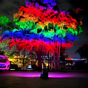 DMX Wash Color <b>Light</b> for Hotels Malls Bridges Monuments Parks and Programmable Architectural Lighting Projects - Product Image 1