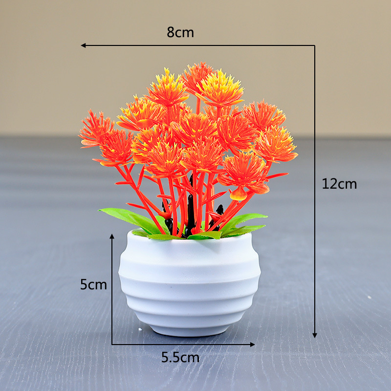 Coucher de soleil orange-rouge [pot blanc]