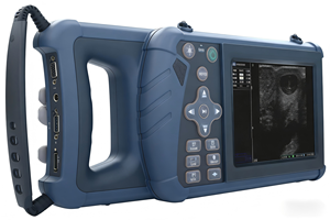 Échographie vétérinaire - Product Image 2