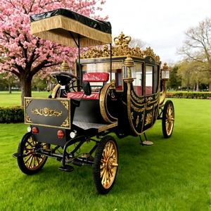 Carroza Real para Bodas Zhenda, Vehículo Turístico Eléctrico para 4-6 Personas, Modelo Q235B de Acero con Frenos Hidráulicos, Superventas - Product Image 1