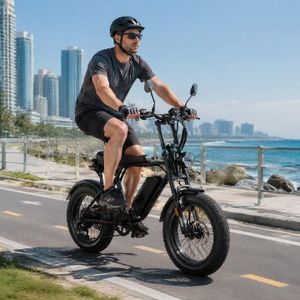 Vélo électrique à pneus larges de 20 pouces, moteur arrière sans balais 48V 500W, 7 vitesses, cadre en acier pour adultes DY006 DY006 - Product Image 1