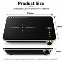 Cuisinière à induction portable 2000W, plaque chauffante électrique à brûleur unique avec commande par bouton rotatif pour la maison, la cuisine, le camping, usine OEM