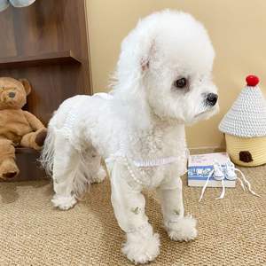 Pet Cat <span class=keywords><strong>Dog</strong></span> Outdoor Walking Dustproof Calças Pequeno Cão Teddy Bichon Anti-Sujeira Calças Bichon Teddy <span class=keywords><strong>Dog</strong></span> Leg Covers - Product Image 3