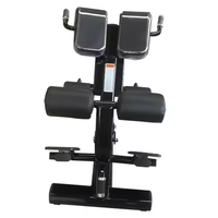 Banc d'hyperextension pour équipement de fitness de chaise romaine d'extension de dos de tube ovale de centre de gymnastique commerciale
