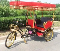 Prix de gros Tricycle touristique touristique électrique Batterie Voiture Green Power Passenger Rickshaw