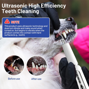 High Frequency Usb Rechargeable Waterproof <strong>Dental</strong> Scaler Vibrating Pet Ultrasonic Tartar Calculus Tooth Cleaner for Dogs <strong>Cats</strong> - Product Image 6