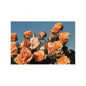 Gel douche parfumé à la rose L'Occitane 250 ml pour femmes - Product Image 5