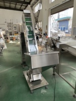 Machine de remplissage et de capsulage de comptage de tubes de comprimés effervescents GR-80
