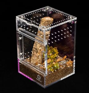 Boîte d'Élevage pour Reptiles de Taille et Logo Personnalisés, Terrarium en Acrylique à Porte Coulissante Magnétique, Cage pour Mygale - Product Image 1