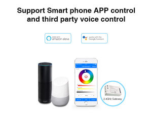 Controlador Remoto Inalámbrico WiFi Elanby para Luces LED RGB RGBW, DC12V, Carga Máxima de 192W, para Tiras LED y Luces de Piscina, con Control por Voz - Product Image 4