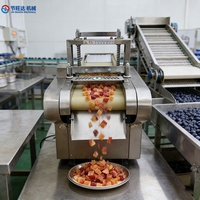 Commerciële groentesnijder, groenteschiller en -snijmachine voor fruitverwerkingsbedrijven